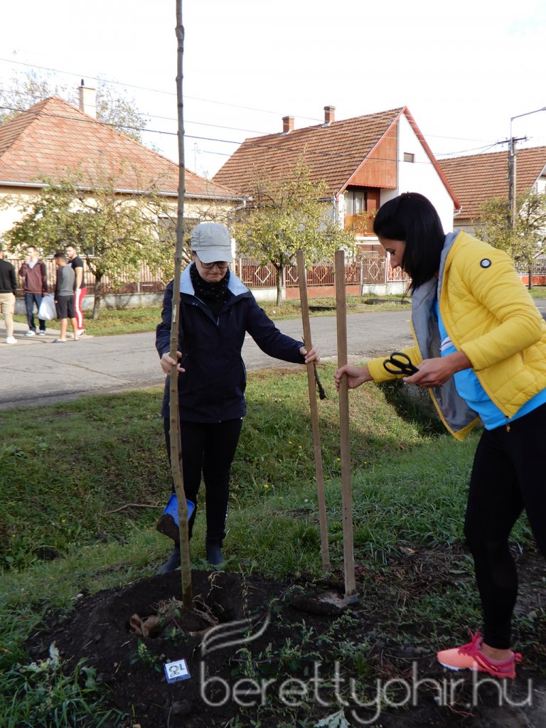 Közösségi faültetés Berettyóújfaluban 65
